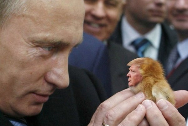 トランプ大統領とプーチン大統領.jpg