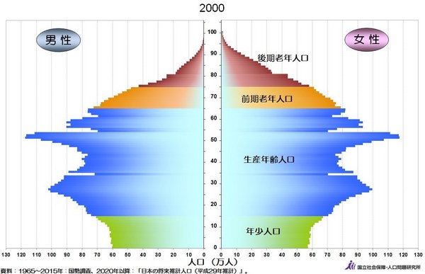 人口ピラミッド2000年.jpg