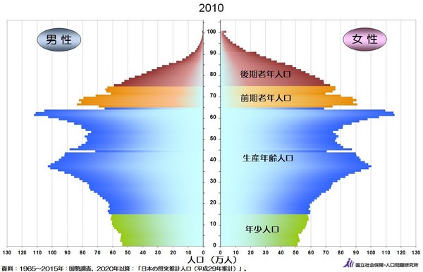 人口ピラミッド2010年.jpg
