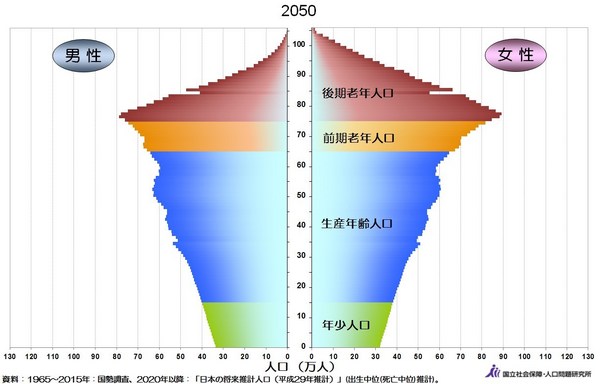 人口ピラミッド2050年.jpg