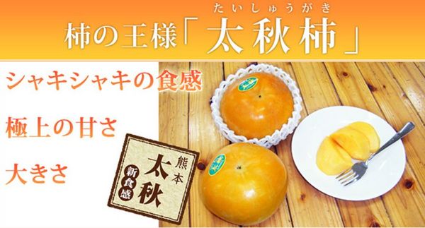 熊本の大秋柿は超美味い.jpg